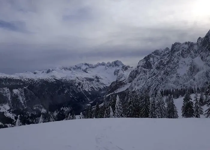 Dachstein View Ski Apartment