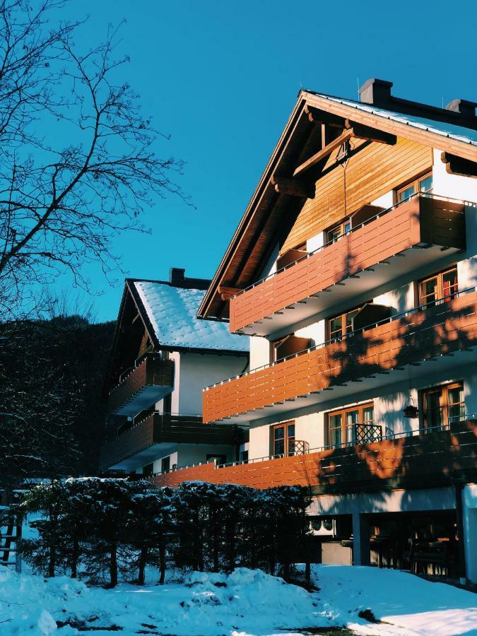 Dachstein View Apartment