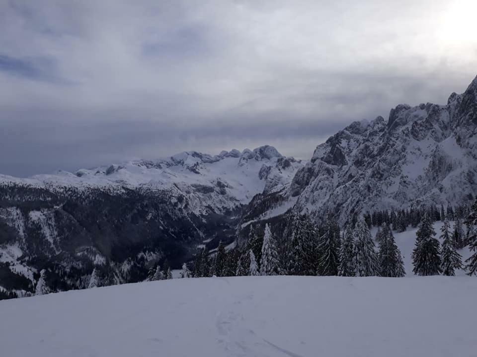 Dachstein View Gosau