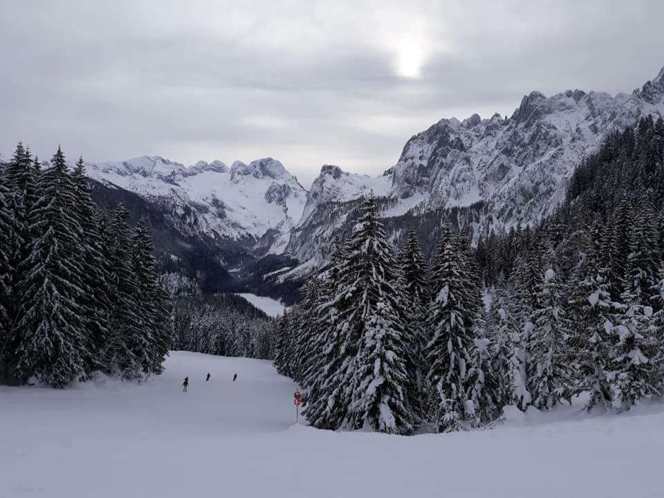 Apartment Dachstein View *