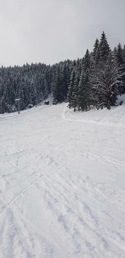 Dachstein View * Gosau