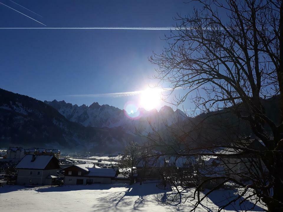 Dachstein View *